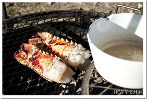 Grilled Lobster