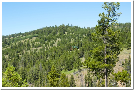 Cabin view