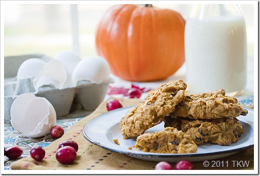 2 Pumpkin Oatmeal Cookies_102111_0073