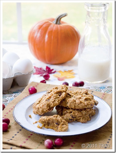 2 Pumpkin Oatmeal Cookies_102111_0079