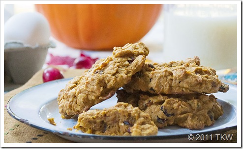 Pumpkin Oatmeal Cookies_102111_0074