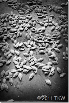 Cajun Spiced Pumpking seeds_110111_0002 BW