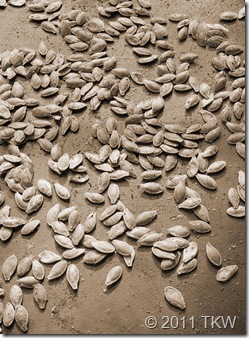 Cajun Spiced Pumpking seeds_110111_0002 sepia