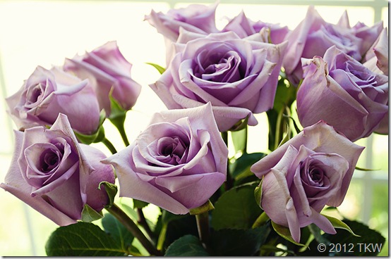 Lavender Roses_040112_0008