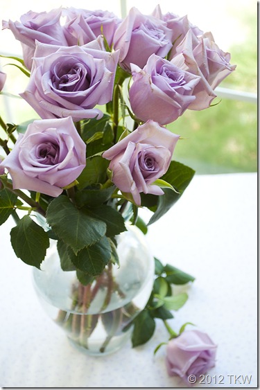 Lavender Roses_040112_0010