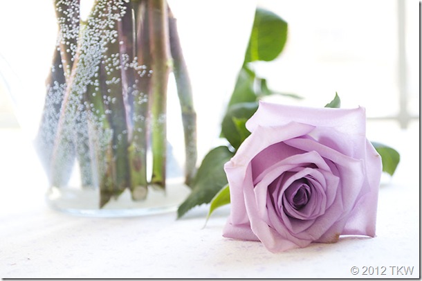 Lavender Roses_040112_0020
