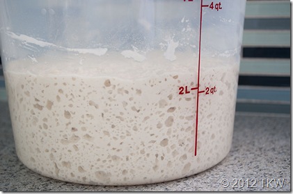 1 Sourdough_032712_0003