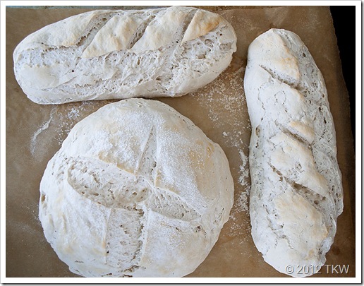 1 Sourdough_032712_0016