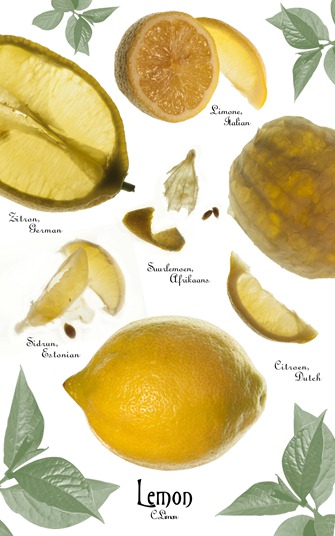 Botanical Lemon