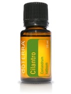Cilantro essential oil