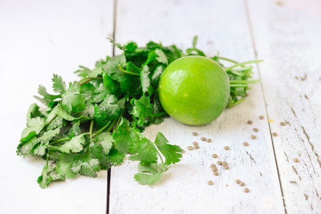 Cilantro Lime Lentil Salad©RhondaAdkinsPhotography 2015