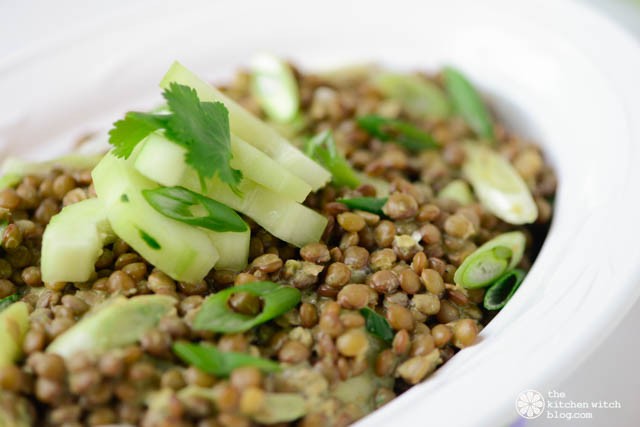 Cilantro Lime Lentil Salad©RhondaAdkinsPhotography 2015