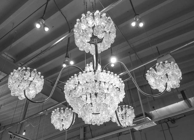 iacp15©RhondaAdkinsPhotography2015