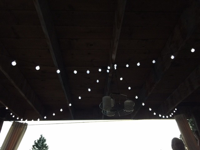 I love, love, love these solar fairy lights. Purchased from Amazon.