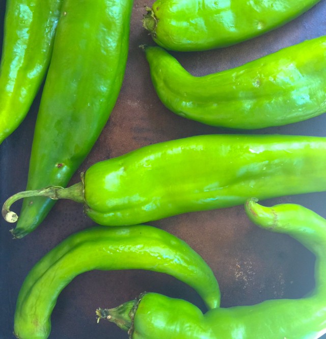 Hatch Chilies©RhondaAdkinsPhotography2015