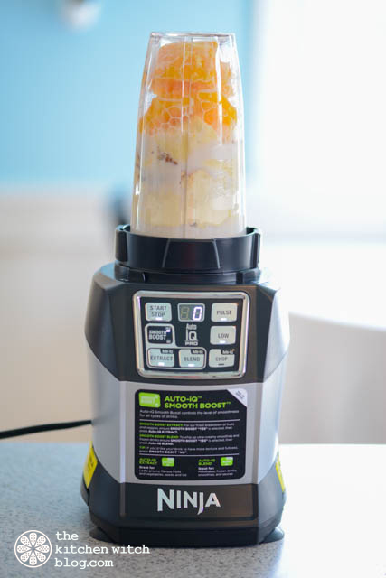 Nutri Ninja DUO Blender Review