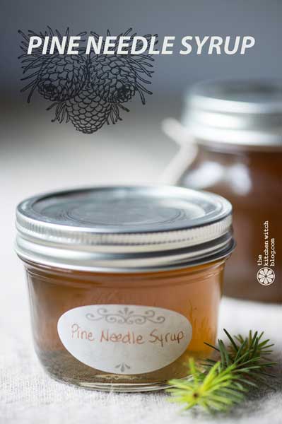 Scandinavian Pine Needle Syrup recipe - the kitchen witch blog.com