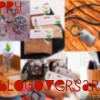 Blogoversary, 2nd, give-aways, Cream of Chicken Noodle Soup, recipe, food, Africa, Blogging, anniversary, Academy Awards
