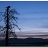 Rocky Mountain School of Photography, school, Photo Studio, Photography, student, Lee Metcalf, Stevensville, Montana, Wildlife Reserve, sunrise, trees