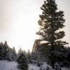 Montana, Cabin, snow, photography